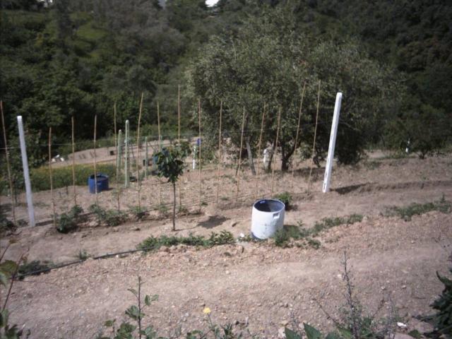 Terreno in vendita a Moneglia, Liguria