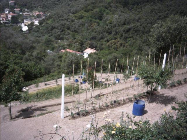 Terreno in vendita a Moneglia, Liguria