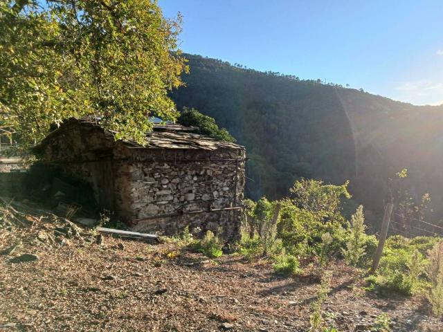 Terreno in vendita a Moneglia, Liguria
