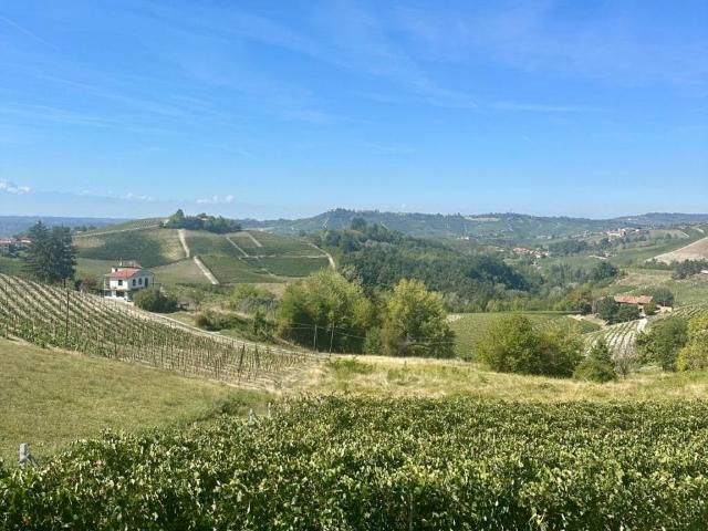 Terreno in vendita a Monforte d'Alba, Cuneo
