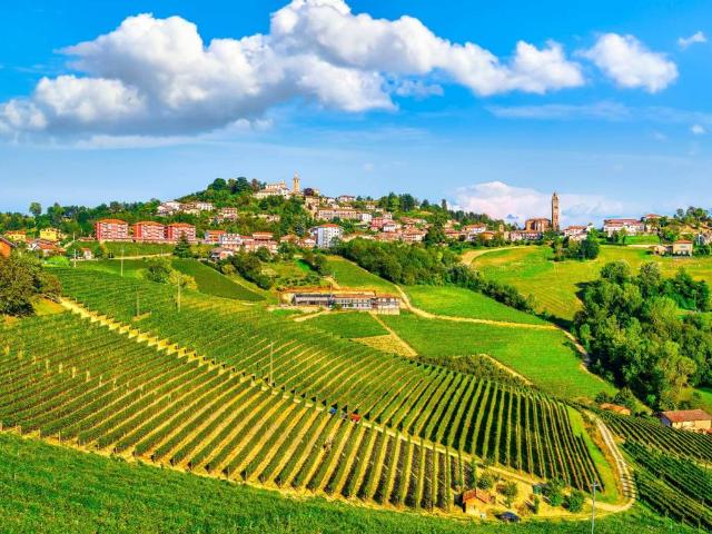 Terreno in vendita a Piemonte, Cuneo