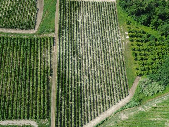 Terreno in vendita a Piemonte, Cuneo