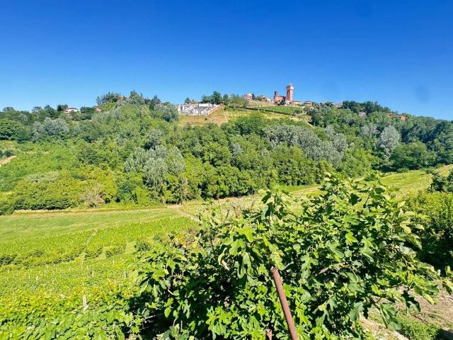 Terreno in vendita a Piemonte, Asti