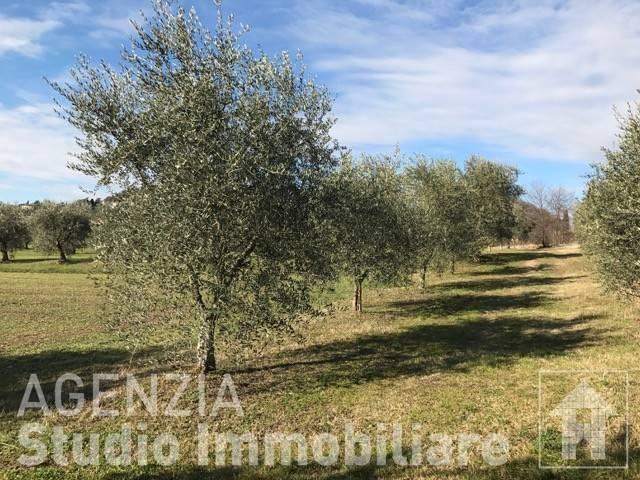 Terreno in vendita a Moniga Del Garda, Lombardia