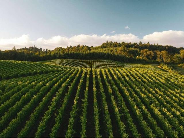 Terreno in vendita a Piemonte, Alessandria