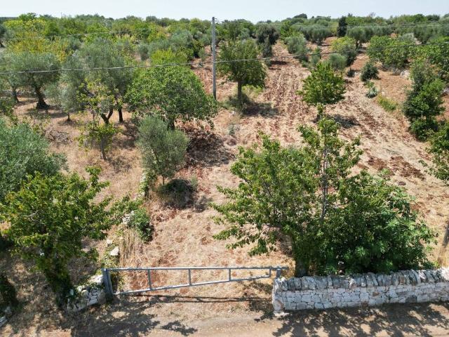 Terreno in vendita a Santa Lucia, Puglia