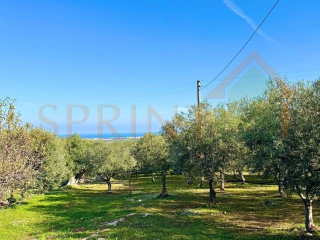 Terreno in vendita a Chiesa Nuova, Puglia