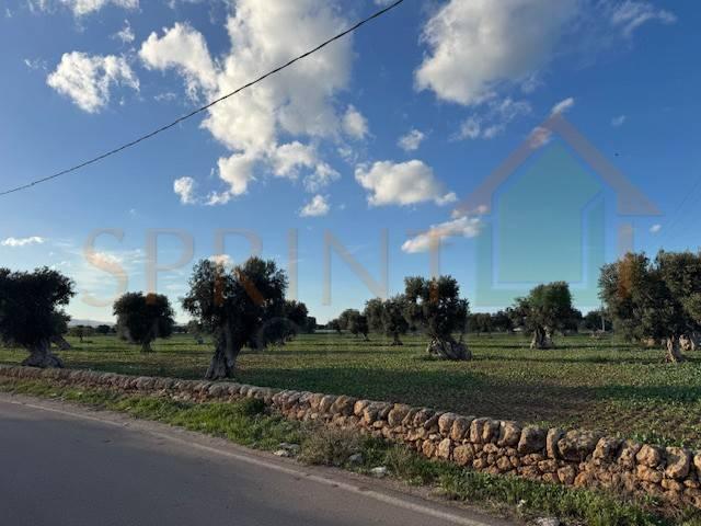 Terreno in vendita a Torre Egnazia, Puglia