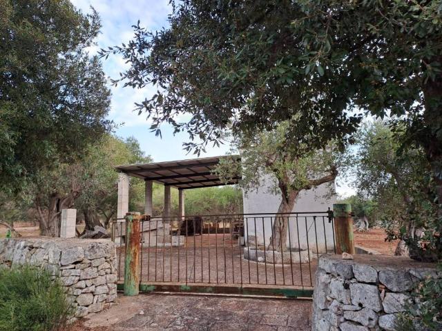Terreno in vendita a Chiesa Nuova, Puglia