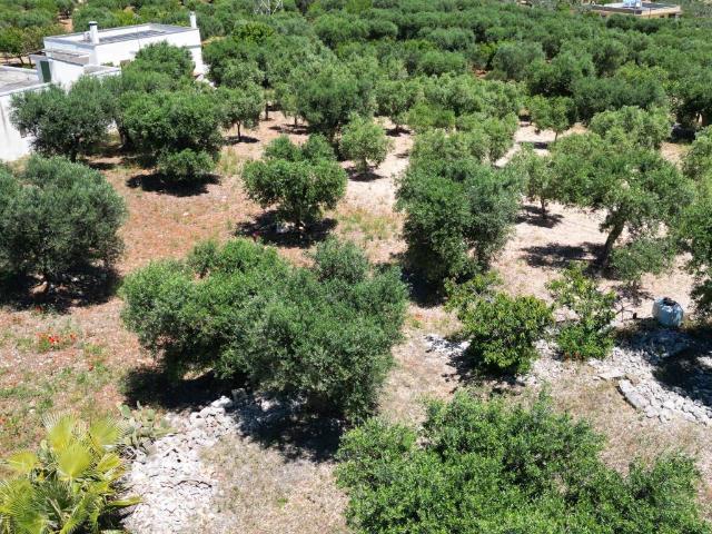 Terreno in vendita a Puglia, Bari