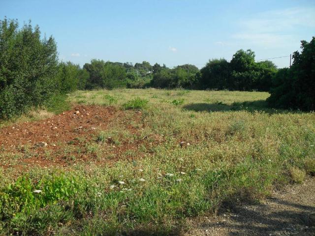 Terreno in vendita a Chiesa Nuova, Puglia