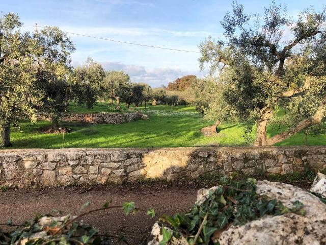 Terreno in vendita a Santa Lucia, Puglia