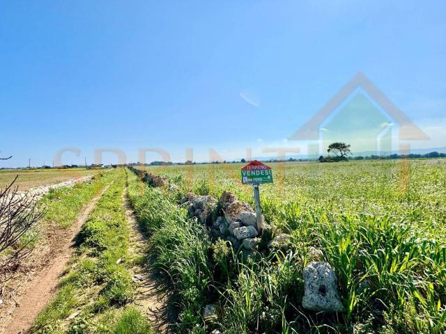 Terreno in vendita a Torre Egnazia, Puglia