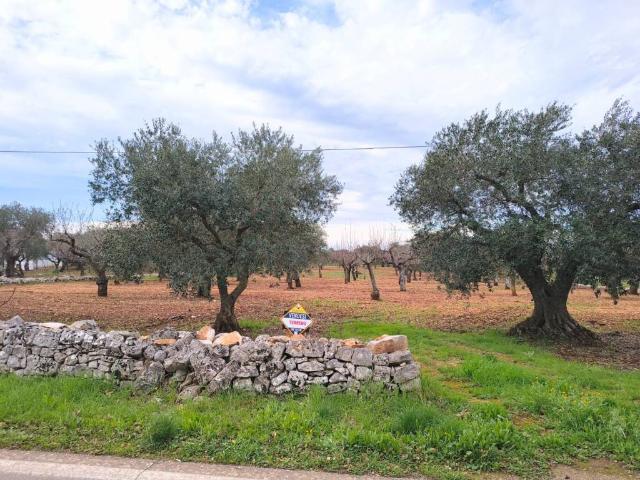Terreno in vendita a Puglia, Bari
