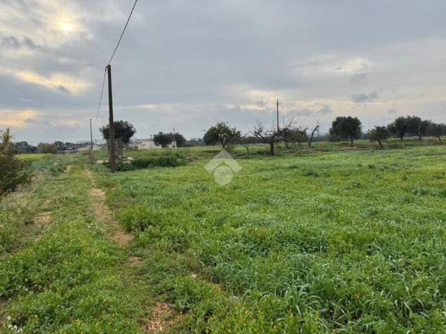 Terreno in vendita a Monopoli, Bari