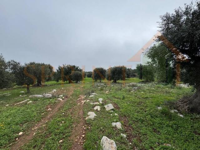 Terreno in vendita a Chiesa Nuova, Puglia