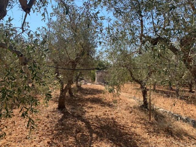 Terreno in vendita a Monopoli, Bari
