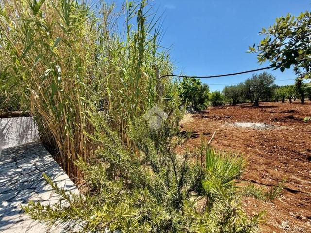 Terreno in vendita a Puglia, Bari
