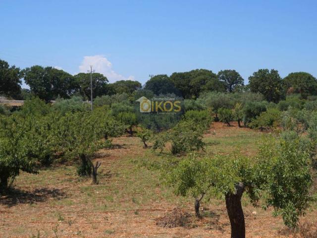 Terreno in vendita a Puglia, Bari