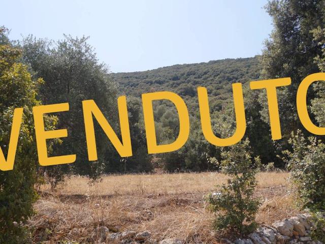 Terreno in vendita a Puglia, Bari