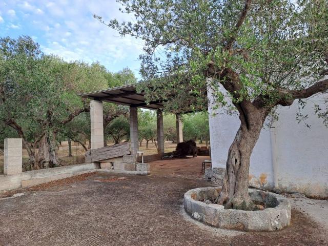 Terreno in vendita a Monopoli, Bari