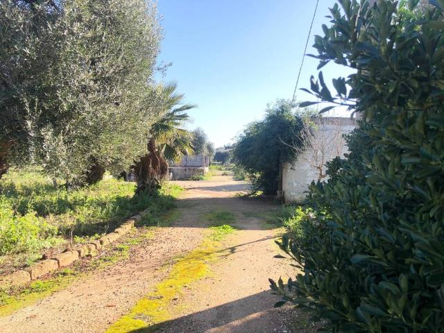 Terreno in vendita a Chiesa Nuova, Puglia