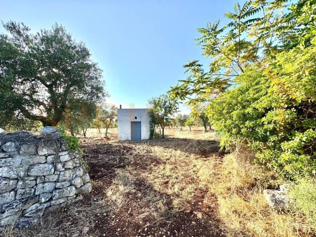 Terreno in vendita a Puglia, Bari