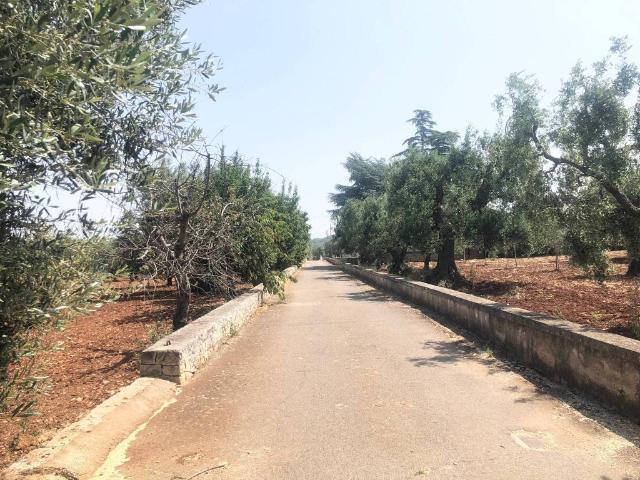 Terreno in vendita a Santa Lucia, Puglia