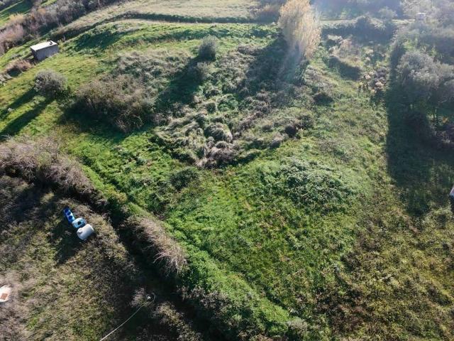 Terreno in vendita a Monreale, Sicilia