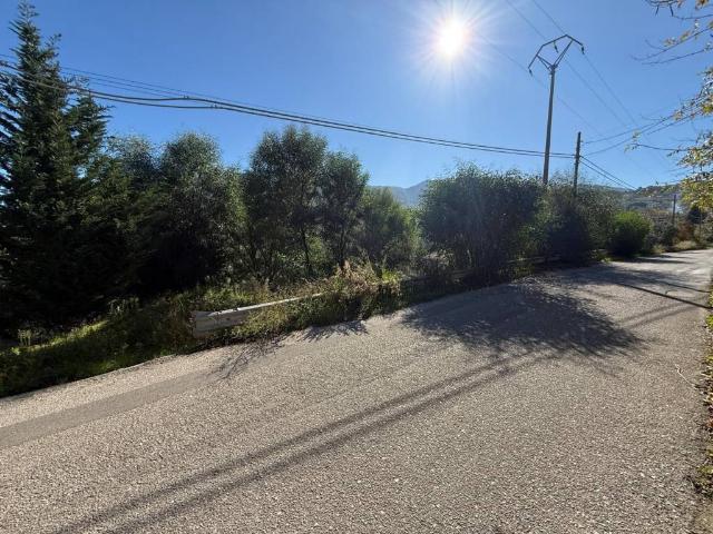 Terreno in vendita a Monreale, Sicilia