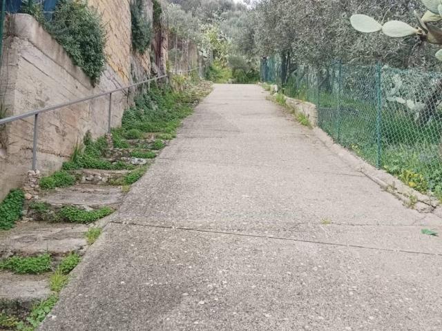 Terreno in vendita a Aquino, Monreale