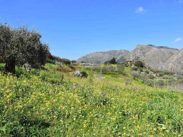 Terreno in vendita a Monreale, Sicilia