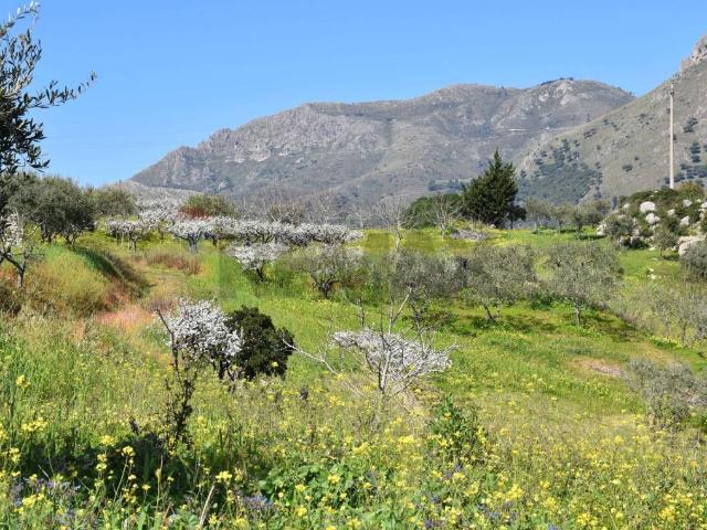Terreno in vendita a Monreale, Sicilia