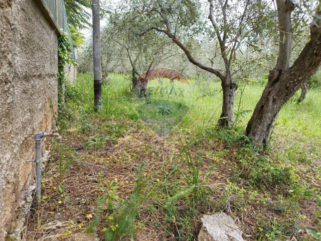 Terreno in vendita a Monreale, Sicilia