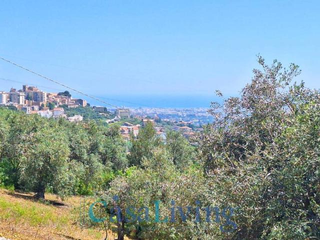 Terreno in vendita a Monreale, Sicilia