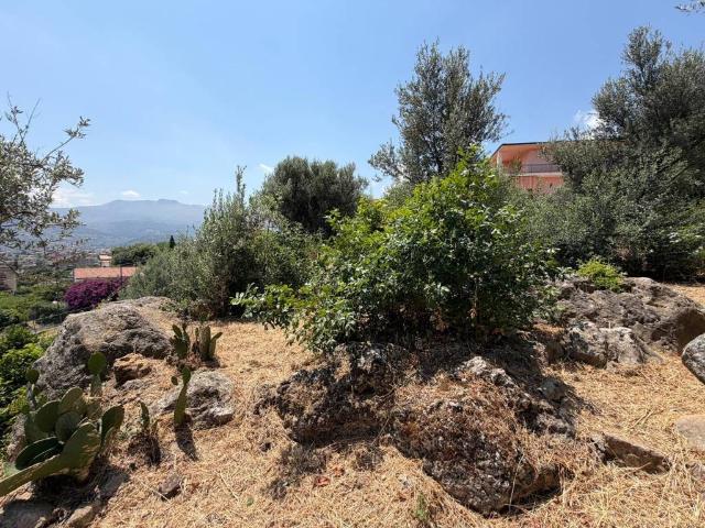 Terreno in vendita a Aquino, Monreale