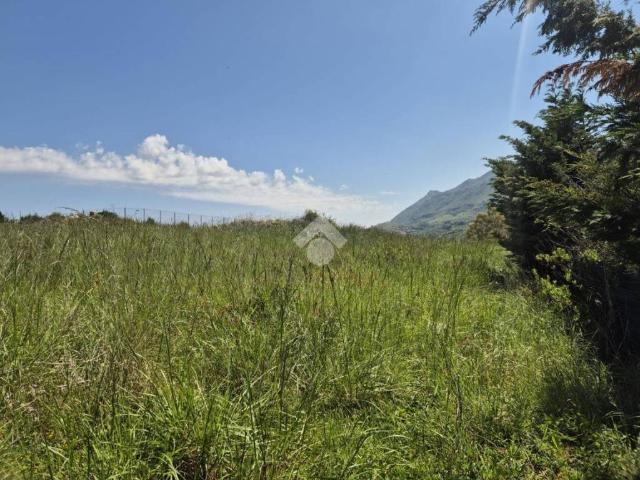 Terreno in vendita a Pezzingoli, Monreale