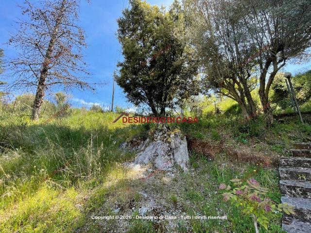 Terreno in vendita a Monreale, Sicilia