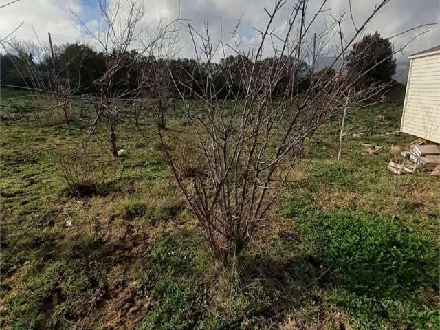 Terreno in vendita a Pezzingoli, Monreale
