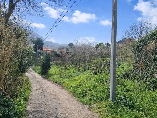 Terreno in vendita a Pezzingoli, Monreale