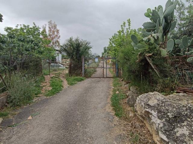 Terreno in vendita a Monreale, Sicilia