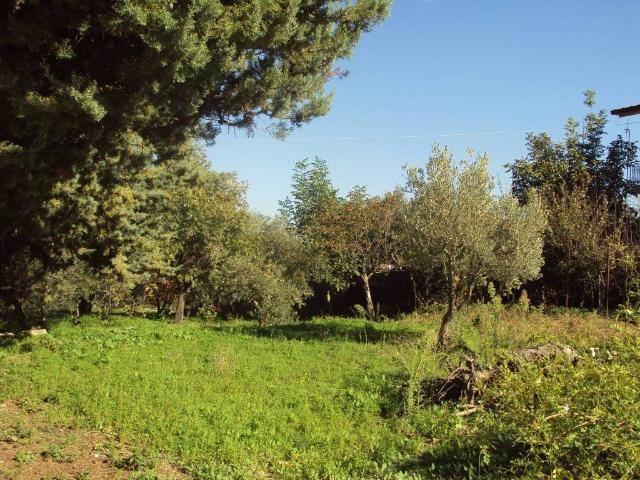 Terreno in vendita a Monreale, Sicilia