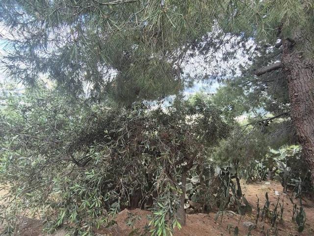 Terreno in vendita a Villaggio Santa Rosalia, Monreale