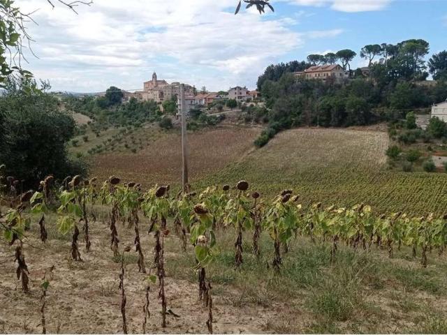 Terreno in vendita a Marche, Fermo