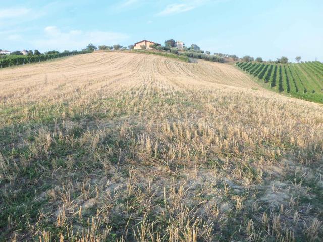 Terreno in vendita a Marche, Ascoli Piceno