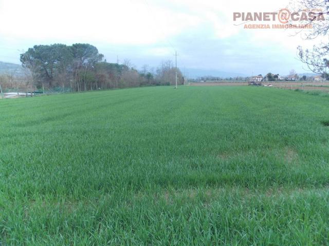 Terreno in vendita a Stella, Marche