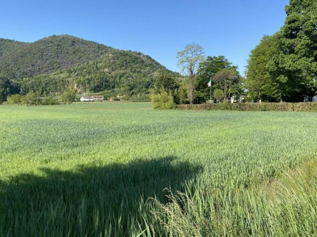 Terreno in vendita a Monticelli, Monselice