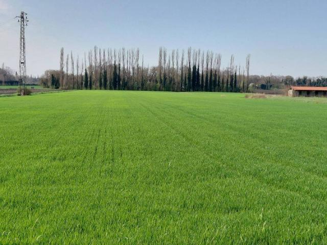 Terreno in vendita a Monselice, Veneto