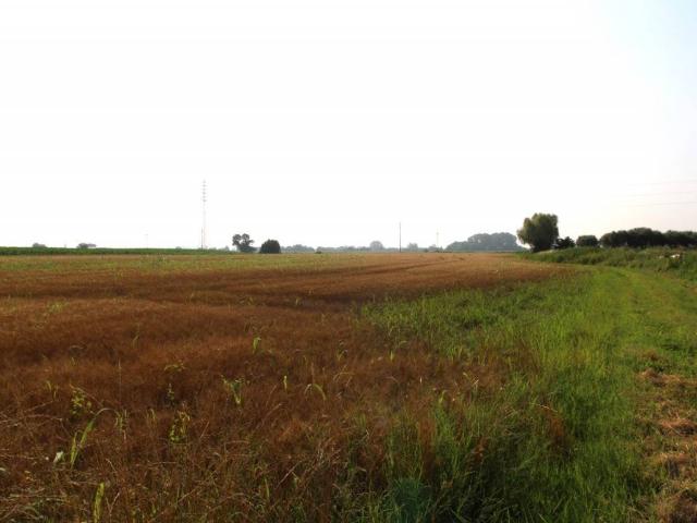 Terreno in vendita a Monticelli, Monselice