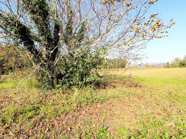 Terreno in vendita a Monticelli, Monselice
